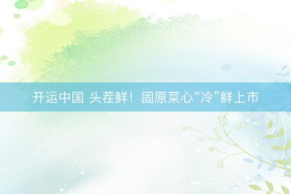 开运中国 头茬鲜!固原菜心“冷”鲜上市