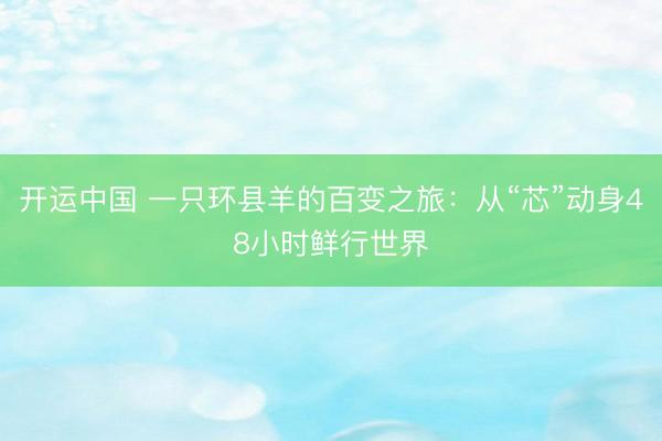 开运中国 一只环县羊的百变之旅：从“芯”动身48小时鲜行世界