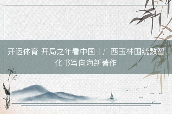 开运体育 开局之年看中国丨广西玉林围绕数智化书写向海新著作