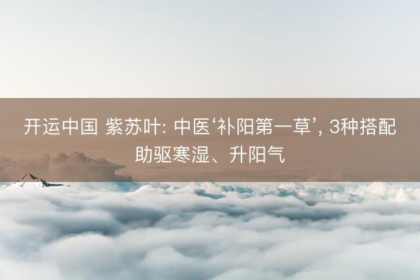 开运中国 紫苏叶: 中医‘补阳第一草’, 3种搭配助驱寒湿、升阳气